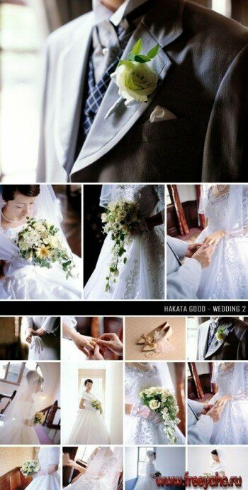   -   | Hakata Good - Wedding 2