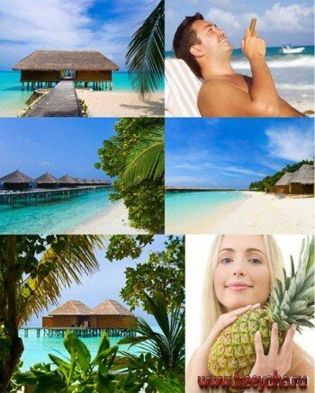 Tropical Holiday - Stock Images |  