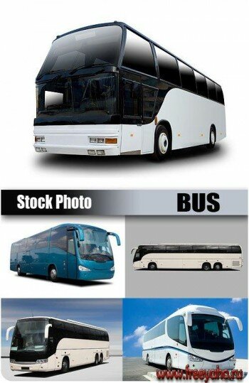 Автобусы - растровый клипарт | Bus Clipart