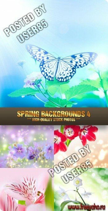   -  | Spring Backgrounds