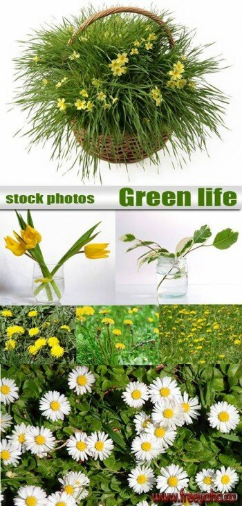 Green life | , , 