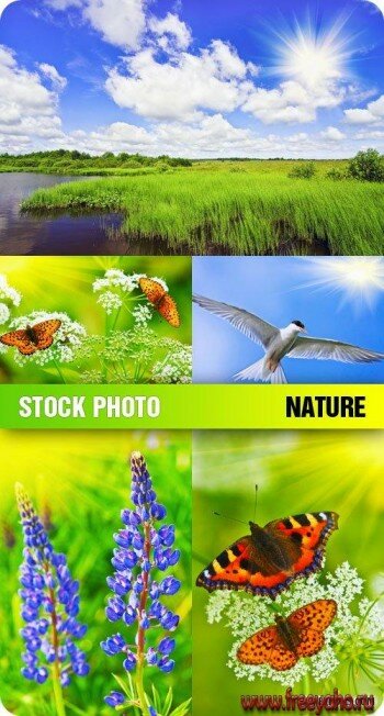Stock Photo - Nature |  