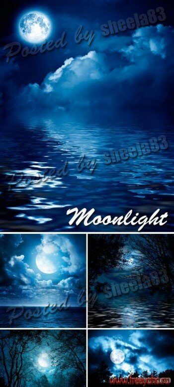    -   | Moonlight clipart