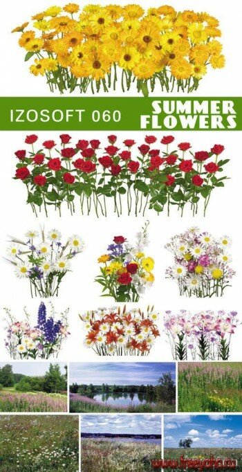 IZ060 - Summer flowers |  