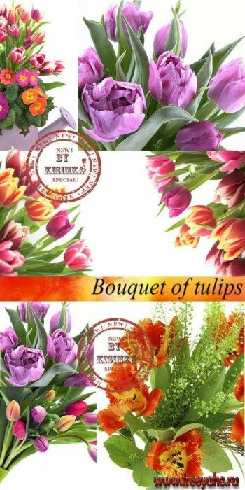  -   | Tulips clipart
