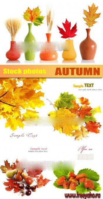  -      -   | Autumn cards with leaves