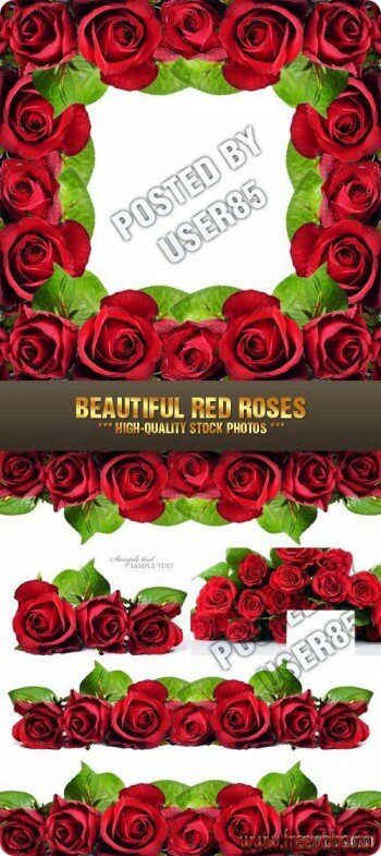    -  | Red Roses