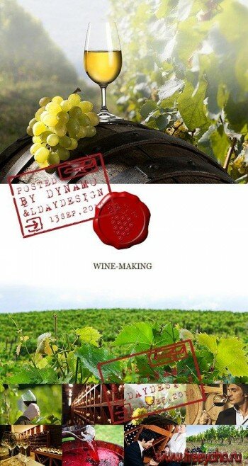 ,    -    | Wine & grape clipart