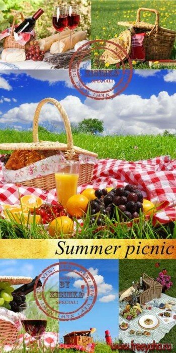   -   | Summer picnic clipart