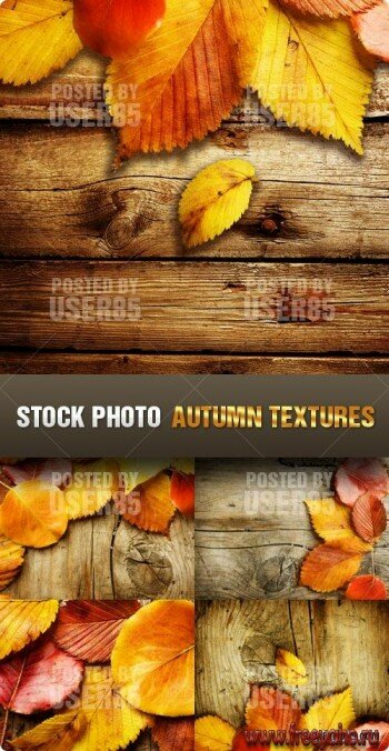      | Autumn leaves & wood textures