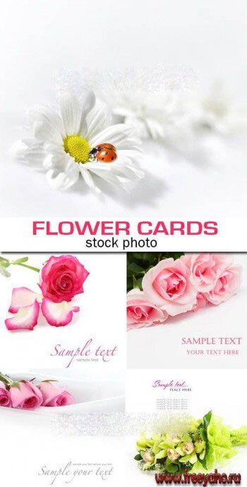   -   | Flower cards