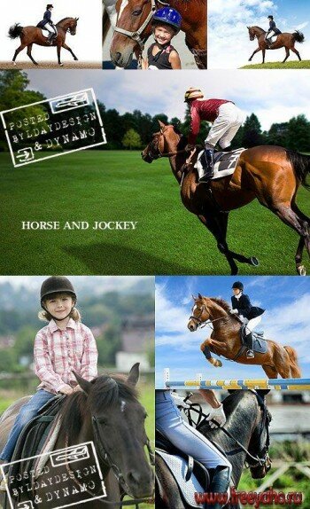 Лошади и жокеи - фотоклипарт | Horses and jockeys
