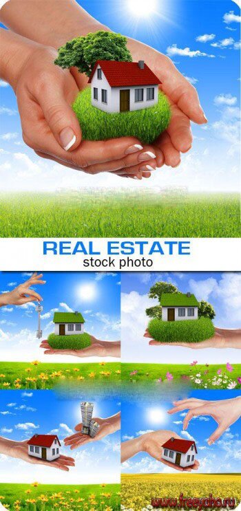    -   | Real estate on the nature