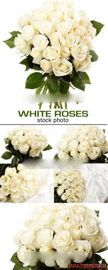      -   | White rose bouquets