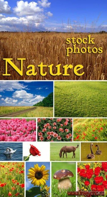 Stock photos - Nature | 