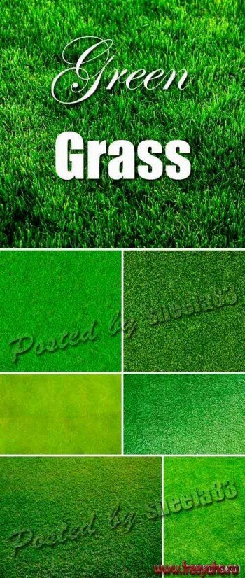   -   | Green Grass textures 2