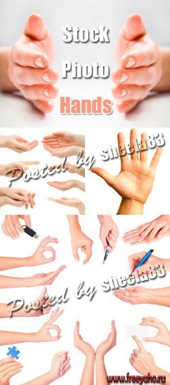    -   | Hands  gestures clipart 2