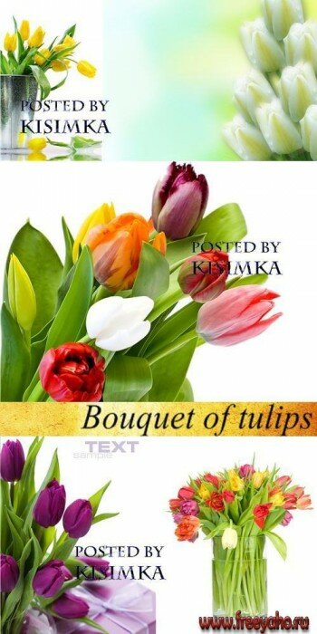  -    | Spring bouquets of tulips