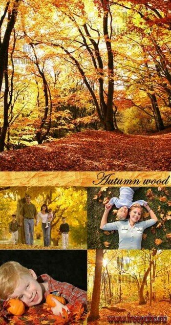      -   | Autumn & people