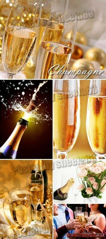    -   | Holiday & Champagne