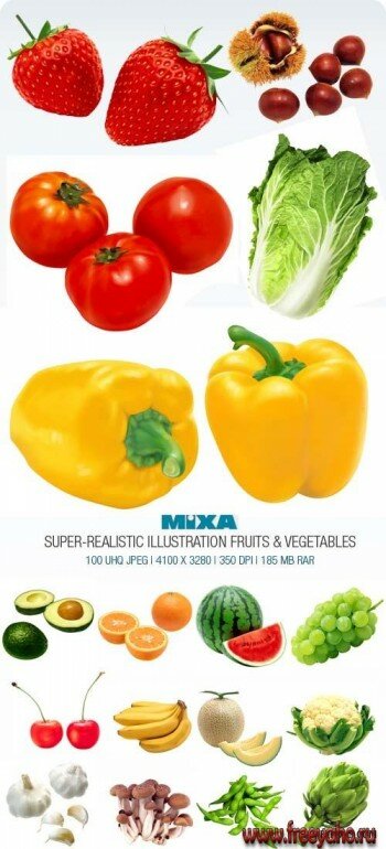       | Mixa MX-220 - Super Realistic Illustration Fruits & Vegetables