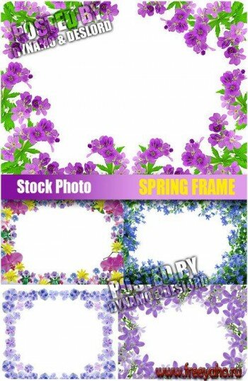    -  | Spring flower frames
