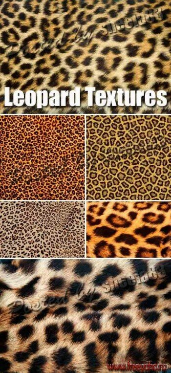     | Leopard Textures