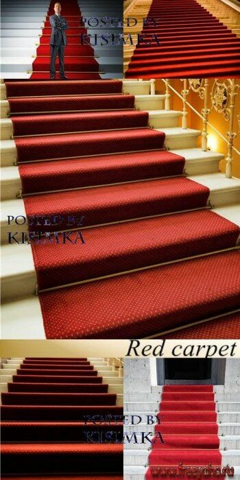    3 -   Red carpet 3