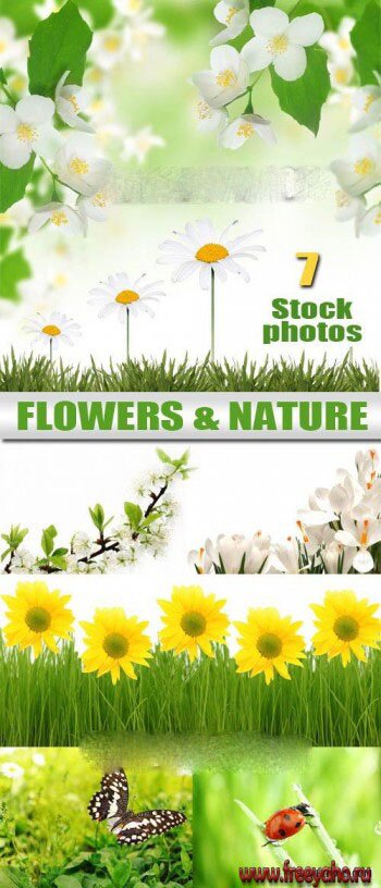         | Flowers & nature