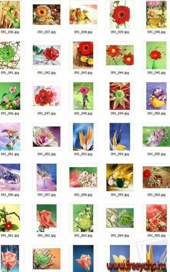 Floral Fantasy | Цветочные фантазии