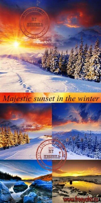     -   | Winter nature backgrounds 2