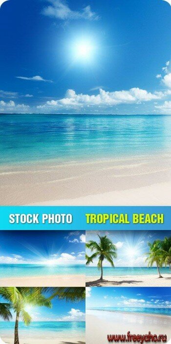      | Stock Photo - Tropical Beach