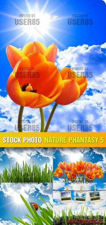    | Stock Photo - Nature Phantasy 5