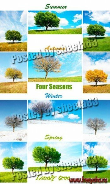    -     | Four Seasons clipart