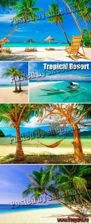     -   | Tropical beach & resort clipart