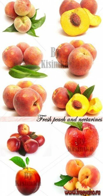        -   | Fresh peach
