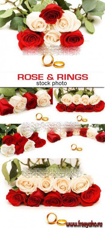    -   | Rose and rings clipart