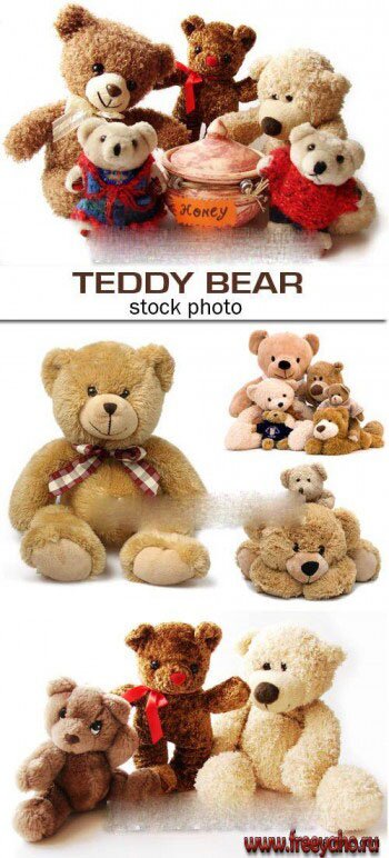   -   | Teddy bear