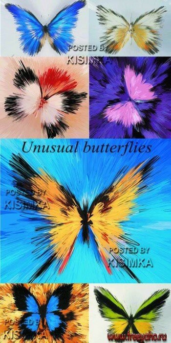   -   | Butterflies