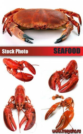   -   | Lobsters
