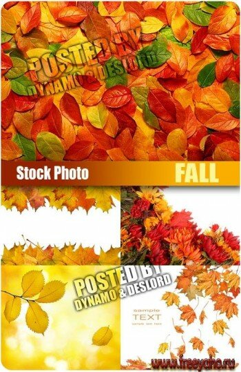       | Autumn leaves backgrounds