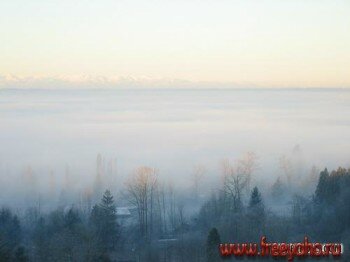      -   | Nature & fog clipart