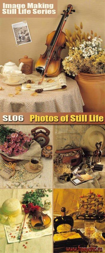 Image Making Still Life Series | IMM-SL06 Photos of Still Life