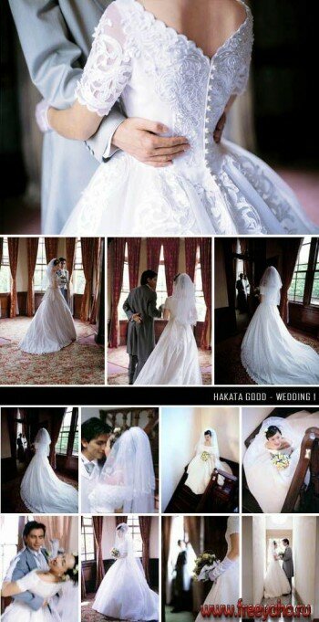   -   | Hakata Good Wedding Photo Stok 1