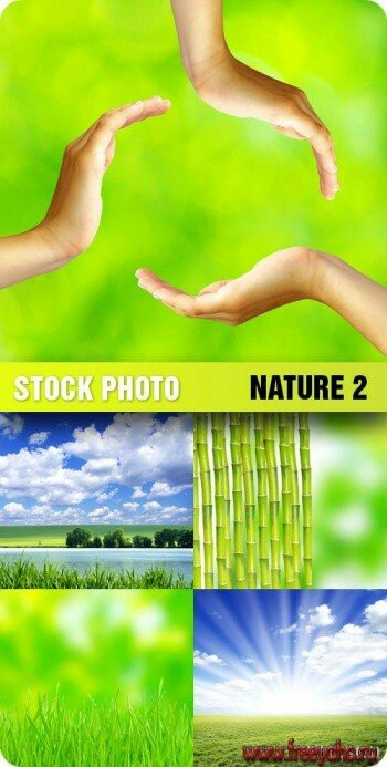  | Stock Photo - Nature 2