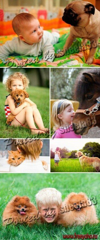     -  | Kids and Animals