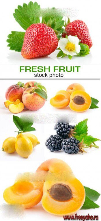      -  | Fresh fruit 22