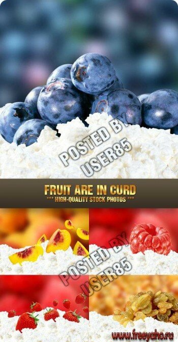    -  | Fruit and Curd