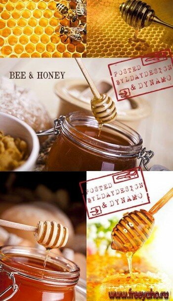 ,    -   | Bees, honeycombs and Honey - Stock Photos