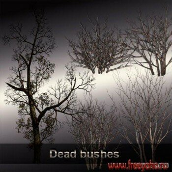     -   | Dead bushes